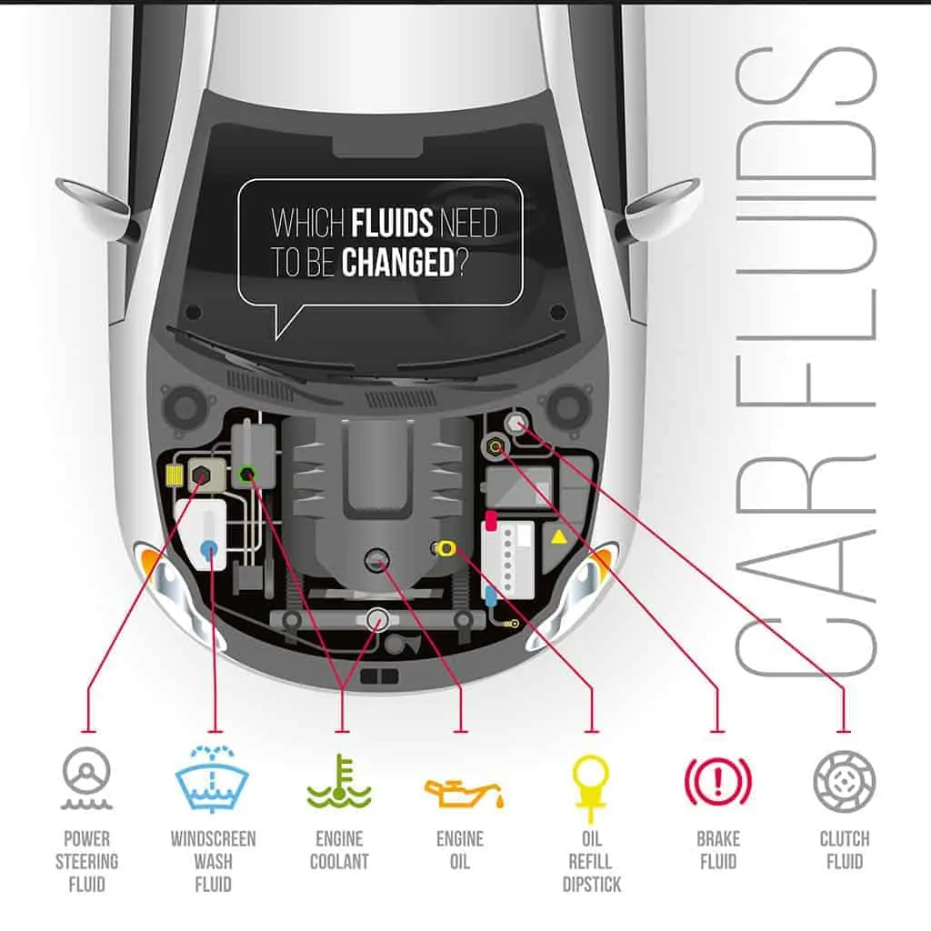 List of Automotive Fluids that are Flushed Infographic Diagram.