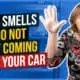 Top 5 Smells You Do Not Want Coming From Your Car